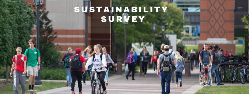 Sustainability Survey 2019
